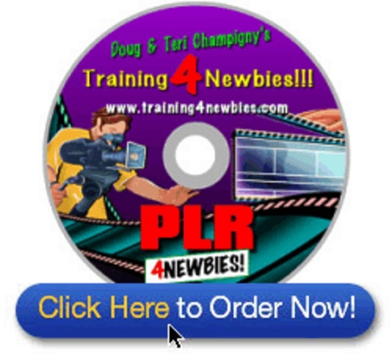 Product picture PLR videos for Newbies